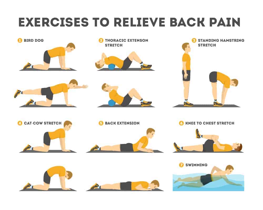 Exercises for Back Pain Relief